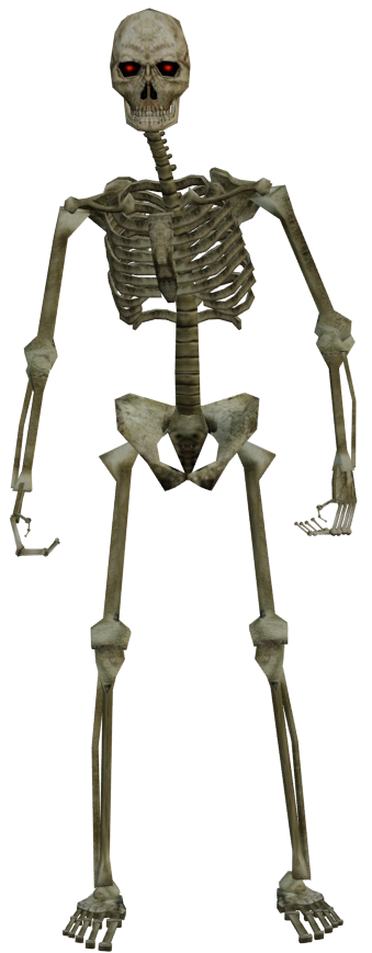 Скелет