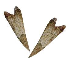 Клыки