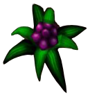 Sir_Trimar